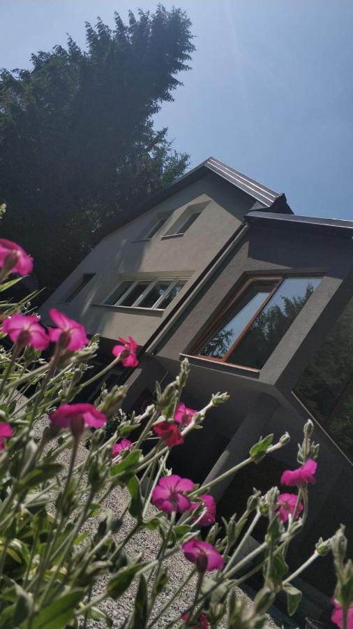 Villa-Apartments Bognar Velika Экстерьер фото